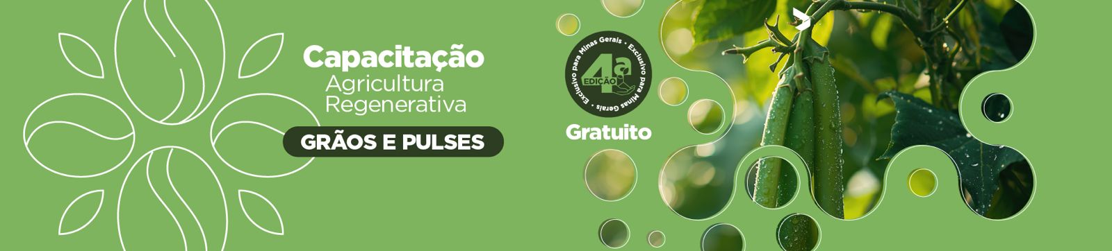 Lavoura de grãos com práticas regenerativas